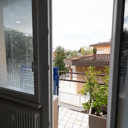 Guesthost - Lovely X4 In